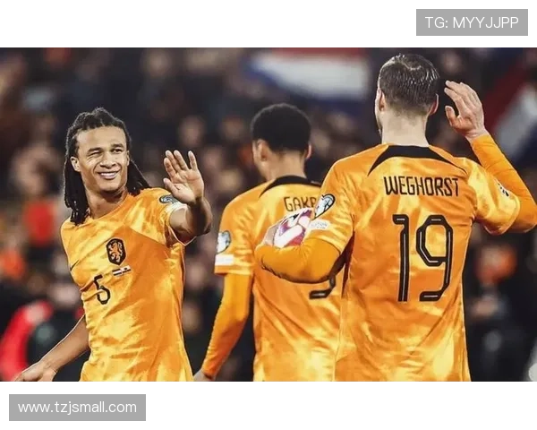 国米冬窗或以2000万到2500万欧出售比塞克引发关注